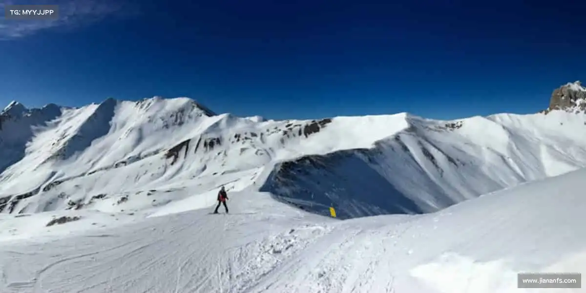 <strong>UED体育</strong>专注，就是最好的武器！